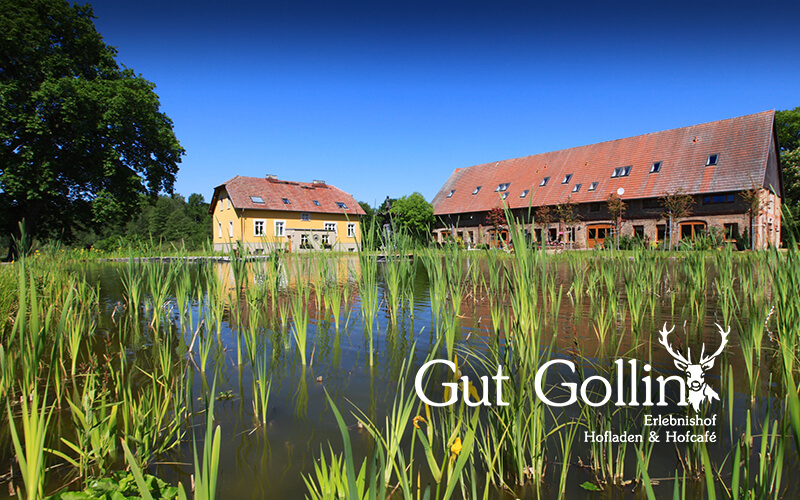 Gut Gollin & Baumhaushotel Uckermark