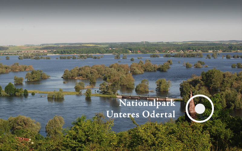 Nationalpark Unteres Odertal